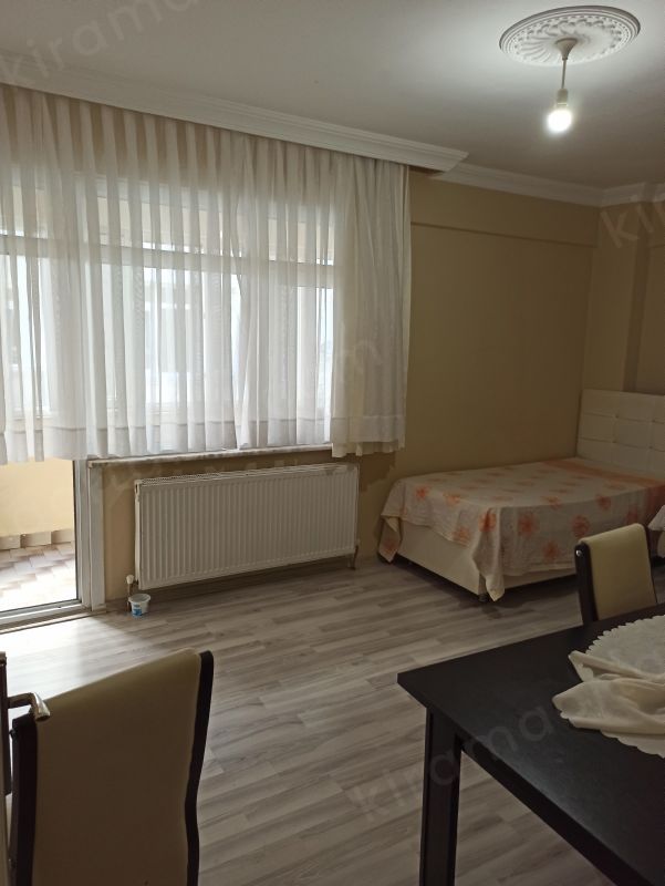 Ev arkdasi arıyorum