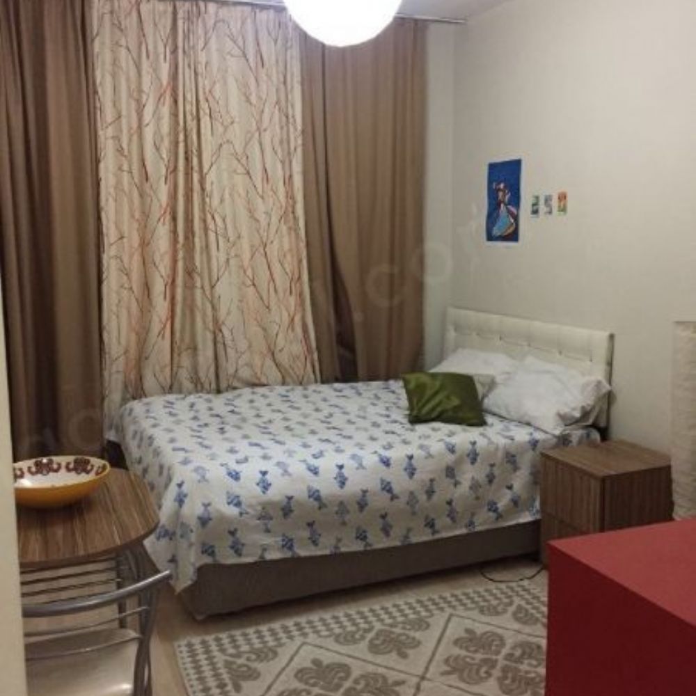 Bayan ev arkadaşı