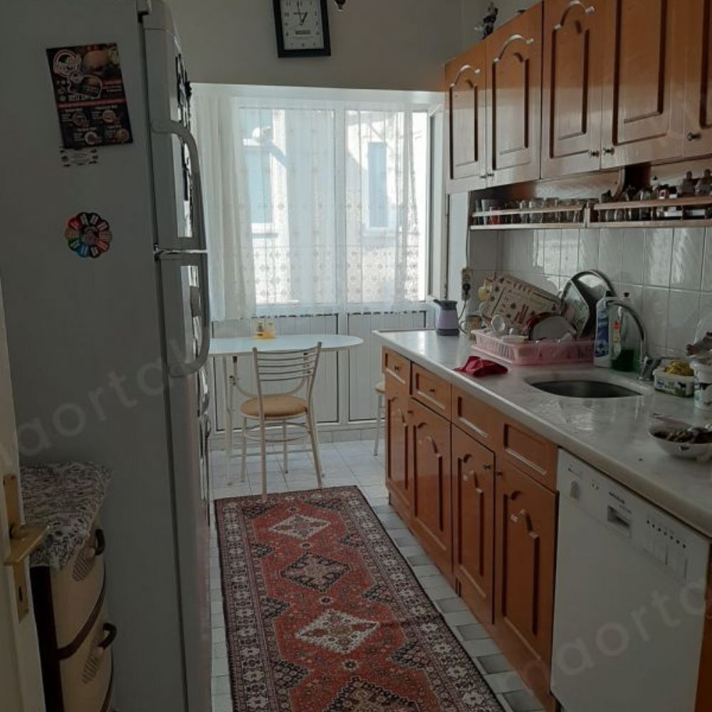 Bayan ev arkadaşı