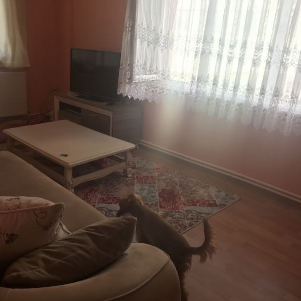 Kadın yanına kadın ev arkadaşı
