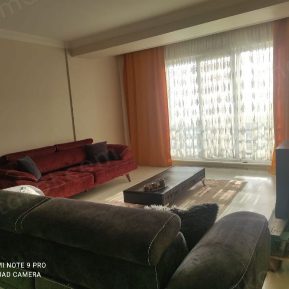 izmit gunluk kiralik daireler kiramaortakol com