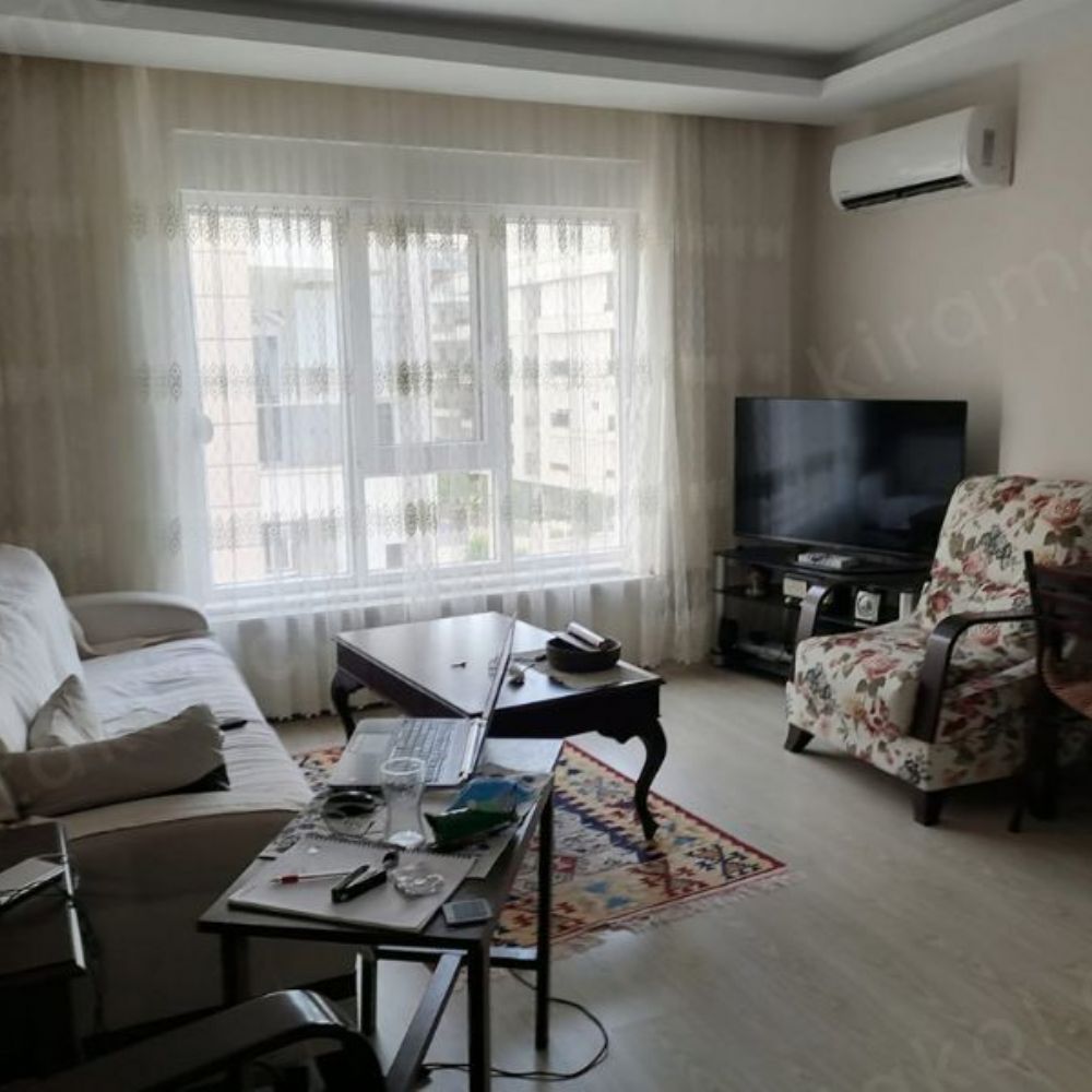 Bayan ev arkadaşı arıyorum